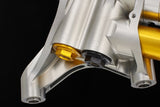 FGR 254 - Ohlins - Hypersport Superbike Fork - Panigale V4